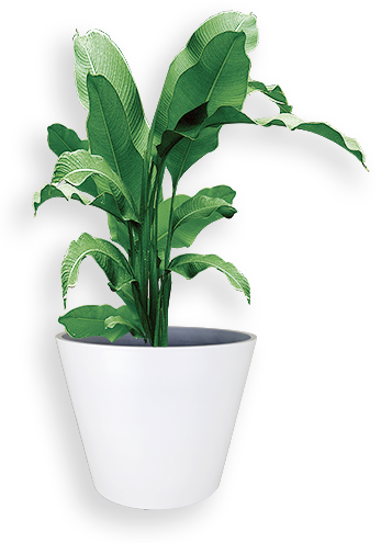 Green&Sunshine Suzhou Industrial And Trading Co.,Ltd